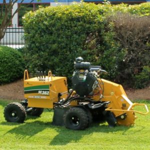 Tips for Removing Tree Stumps