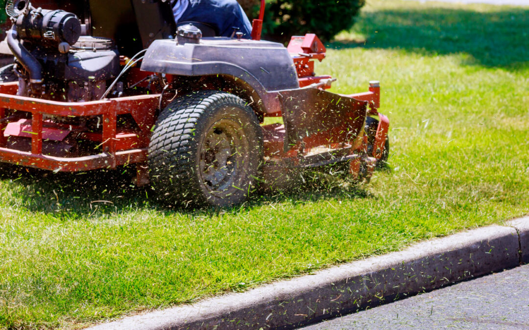 The Ultimate Yard work Arsenal: Must-Have Landscaping Equipment for a Flourishing Spring Garden